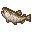 Kiljohli Trout.png