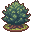 Kuusi Tree.pngright