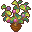 Marja Fruit.png