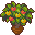 Orange Fruit.png