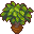 Orange Tree.png