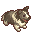 Pure Kookas.png