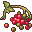 Red Elderberry.png