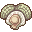 Simpukka Clam.png