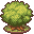 Tammi Tree.png